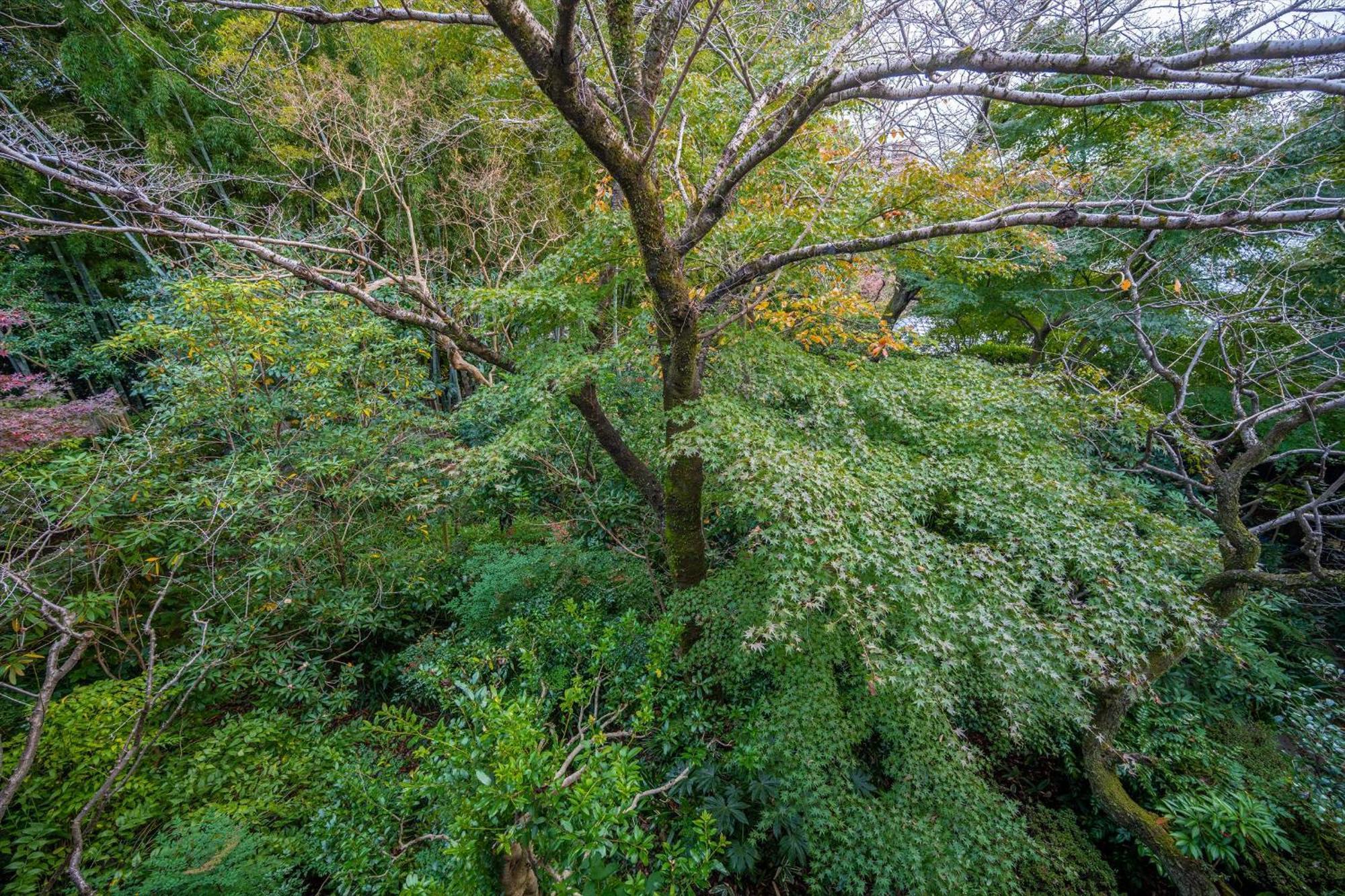Jinya Ryokan Hadano Esterno foto